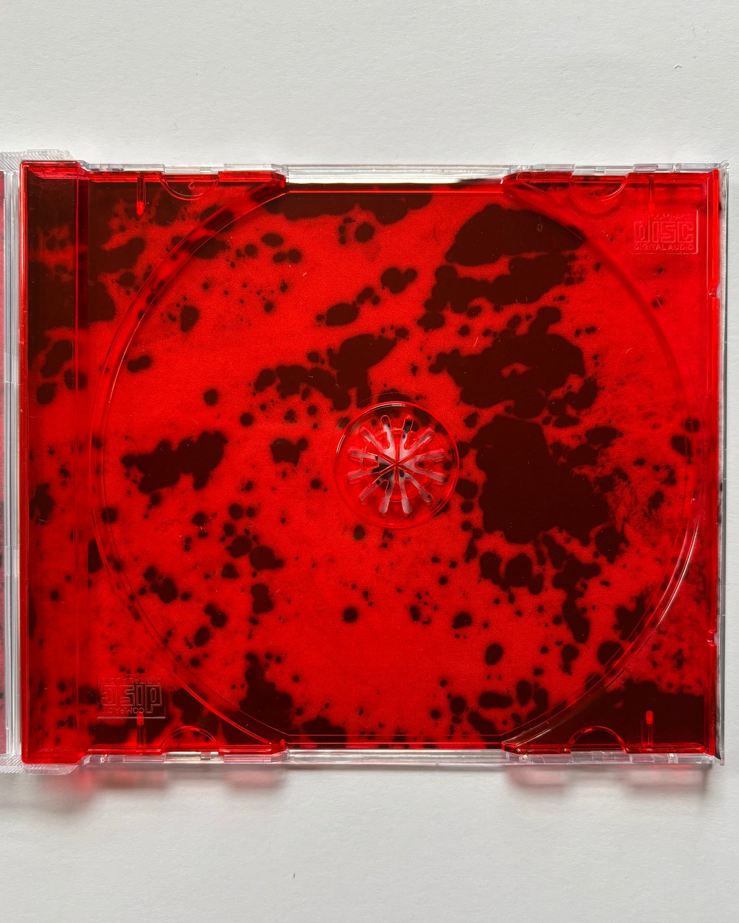 PT-123 ‘Don’t Get Lost Before Dusk’ (ltd. 20) [deluxe edition CD]