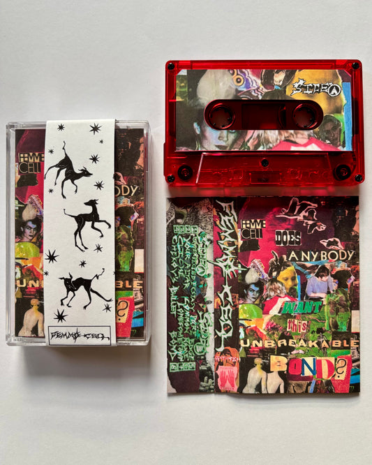 PT-98 “Does Anybody Want This Unbreakable Bond?” by Femme Cell (ltd. 50) [2nd pressing]