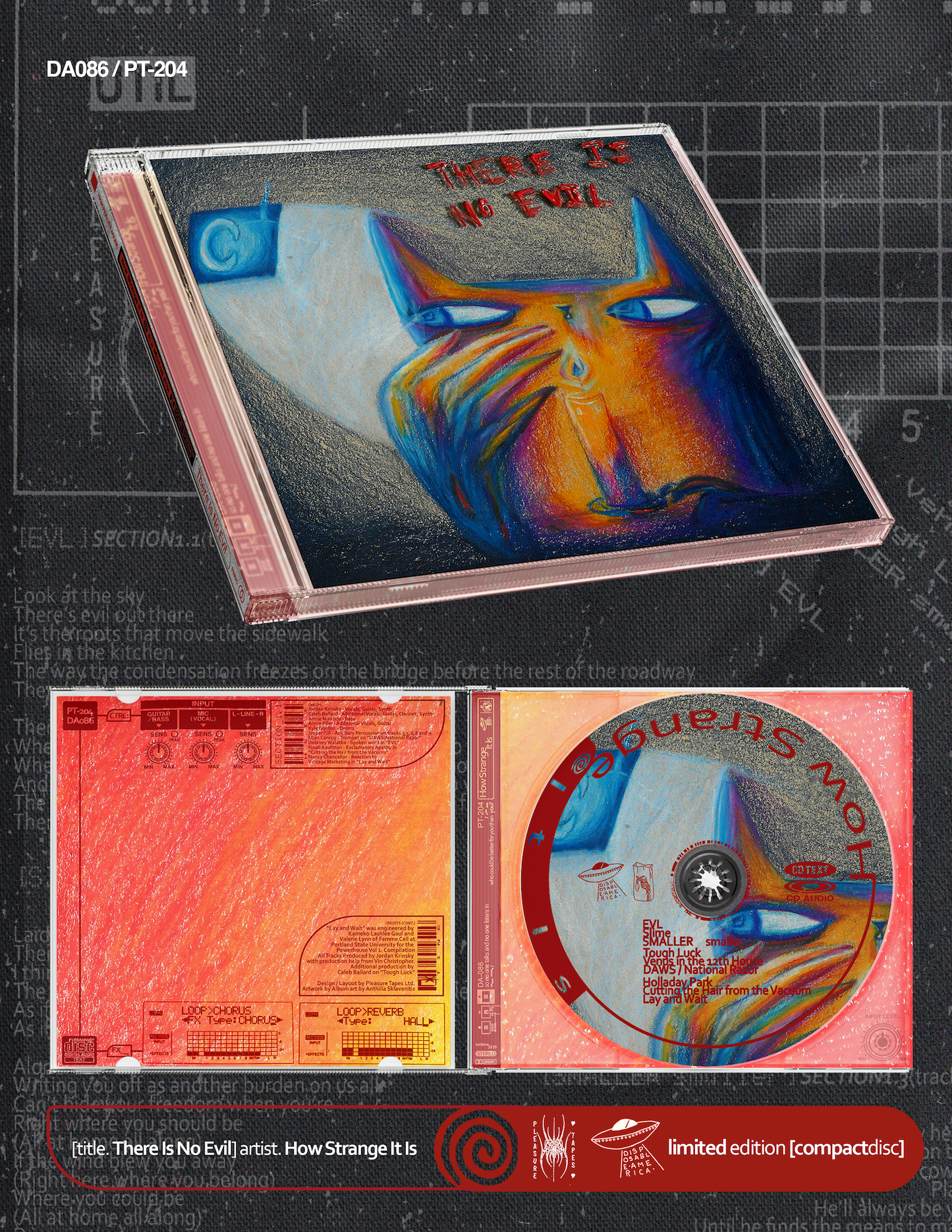 PT-204 / DA086 ‘There Is No Evil’ by How Strange It Is *PREORDER*